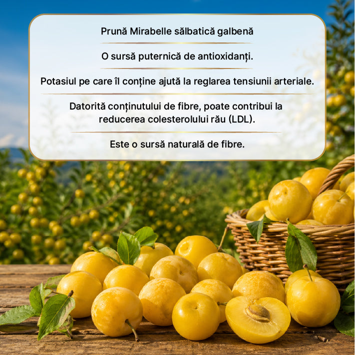 Oțet de Prune Mirabelle Aurii Zuhre Ana 250 ml — imagine 3