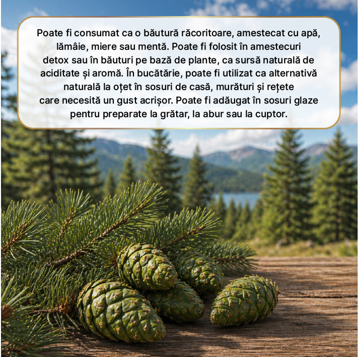 Zuhre Ana Oțet de Pin Natural Fermentat Pine Vinegar 500 ml — imagine 3