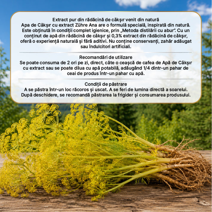 Apă de Rădăcină de Ferula cu Extract Zuhre Ana 500 ml — imagine 3