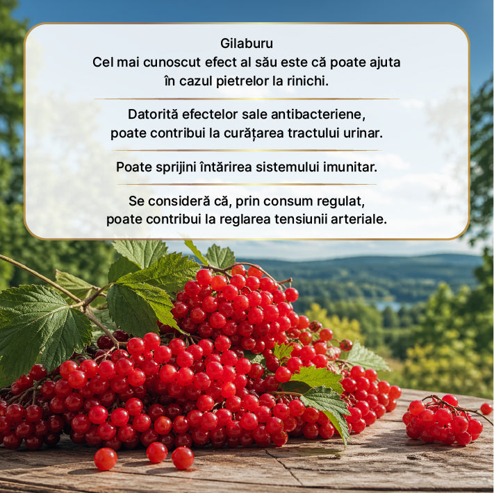 Oțet din fructe de merisor - Fermentat 500 ml — imagine 3