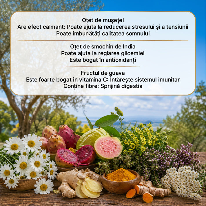 Zuhre Ana Oțet Hurrem Sultan – Fermentație Naturală 500 ml — imagine 3