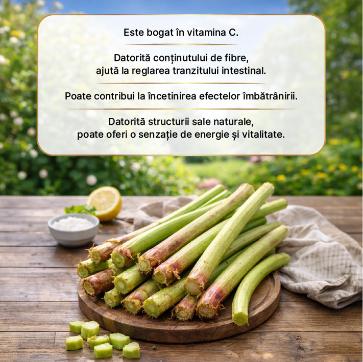 Oțet din Rădăcină de Rubarbă Sălbatică Fermentat 500 ml — imagine 3