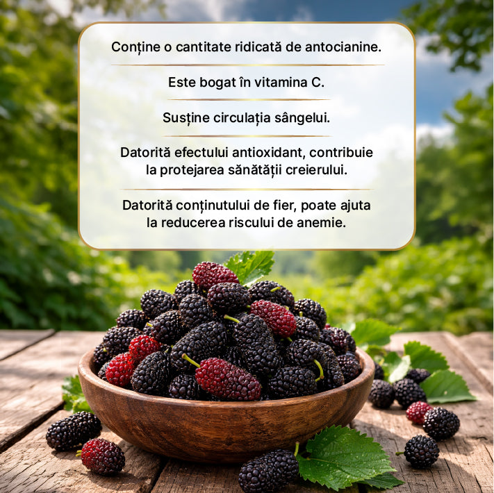 Extract de dud 670 gr — imagine 3
