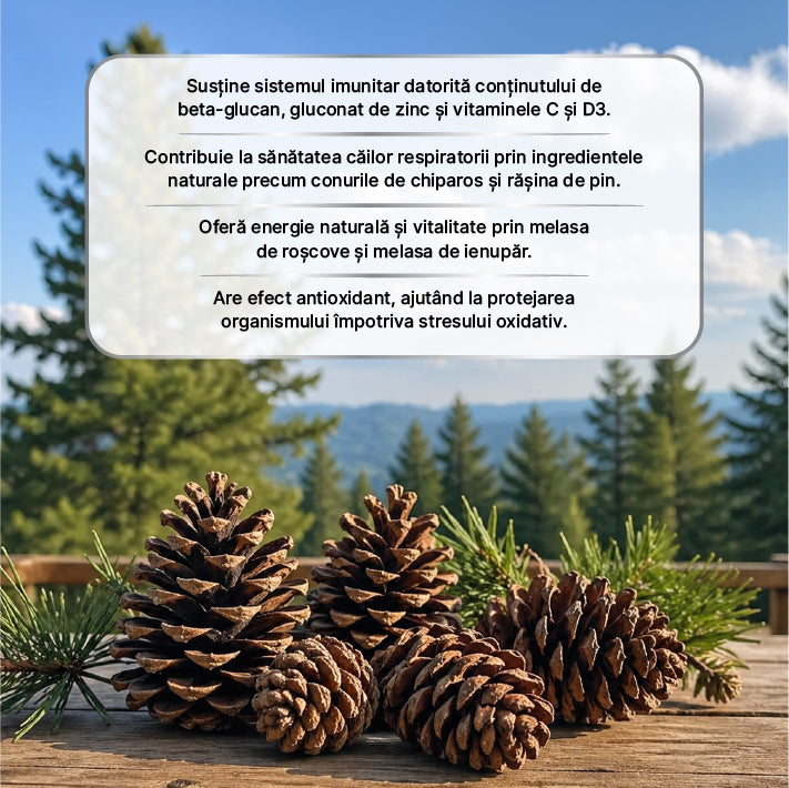 Zuhre Ana Pinecone Pastă 240 gr– Pastă Naturala — imagine 4