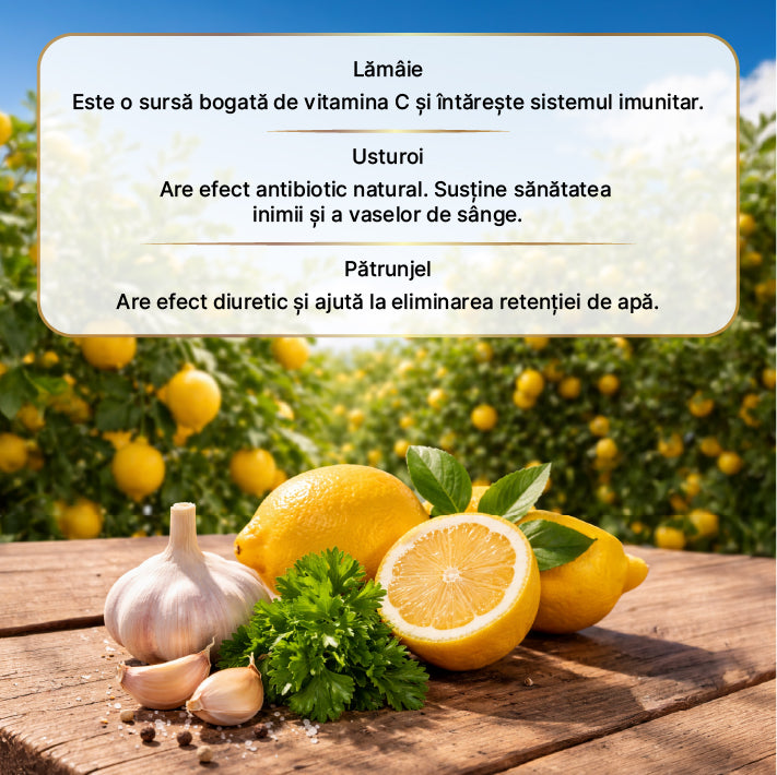 Oțet de Lămâie Usturoi și Pătrunjel Fermentație Naturală 500 ml — imagine 3