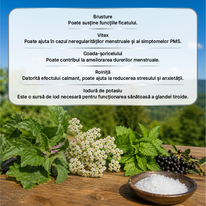 Zuhre Ana Pastă Sultan – Pastă Herbală Tradițională pentru Susținere Zilnică — imagine 5