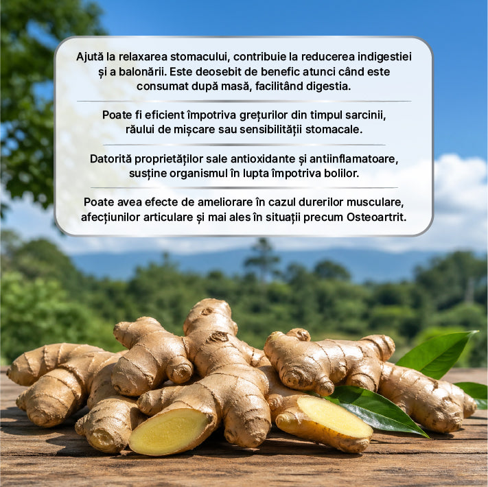 Zuhre Ana Pastă cu Ghimbir 240 gr — imagine 5